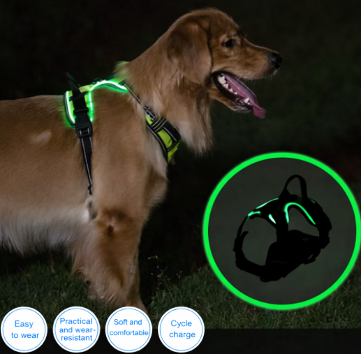 Harnais Lumineux LED pour Chien – Rechargeable et Haute Visibilité