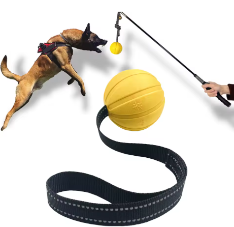 Jouet d’Entraînement Interactif pour Chien – Balle Suspendue avec Laisse Résistante